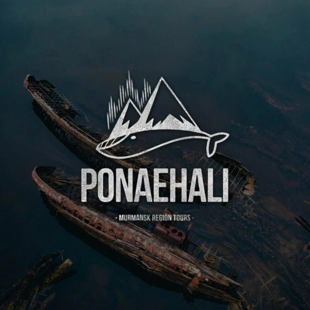 Cover of the “Kommo Implementation for Tours to the Kola Peninsula” case
